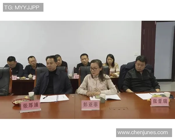 对话杨娜：回顾乒乓球生涯中的挑战与成就