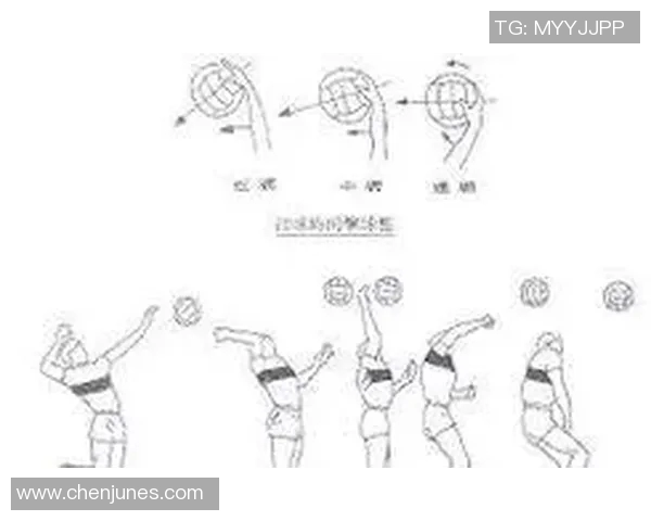 西安排球队的排球盯防体系解析与战术应用探讨