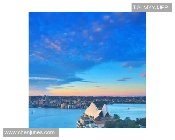 悉尼FC与中部海岸的激烈对决谁能在这场比赛中笑到最后