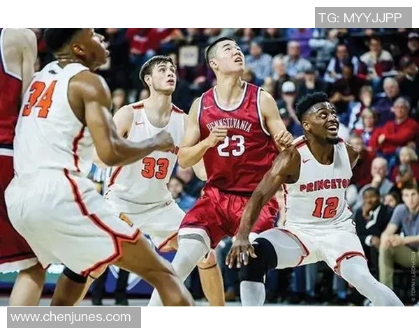 王泉泽的篮球之路与成长故事：从青涩少年到职业球员的蜕变与坚持