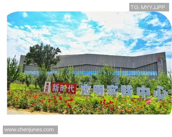 贾诚:在新时代背景下探索文化传承与创新的多维路径 贾诚:在新时代背景下探索文化传承与创新的多维路径